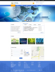 網(wǎng)頁設計 打造用戶體驗至上的Web頁面