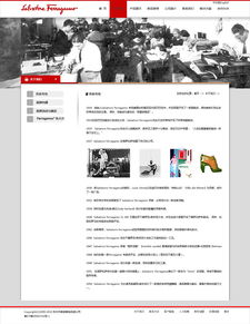 網(wǎng)站設計與網(wǎng)頁設計 數(shù)字時代視覺與功能的雙重奏